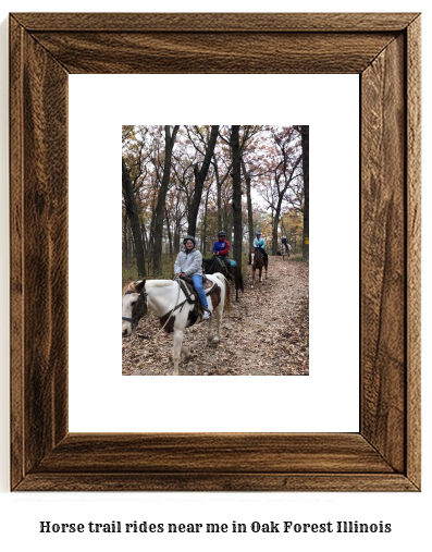 horse trail rides near me in Oak Forest, Illinois